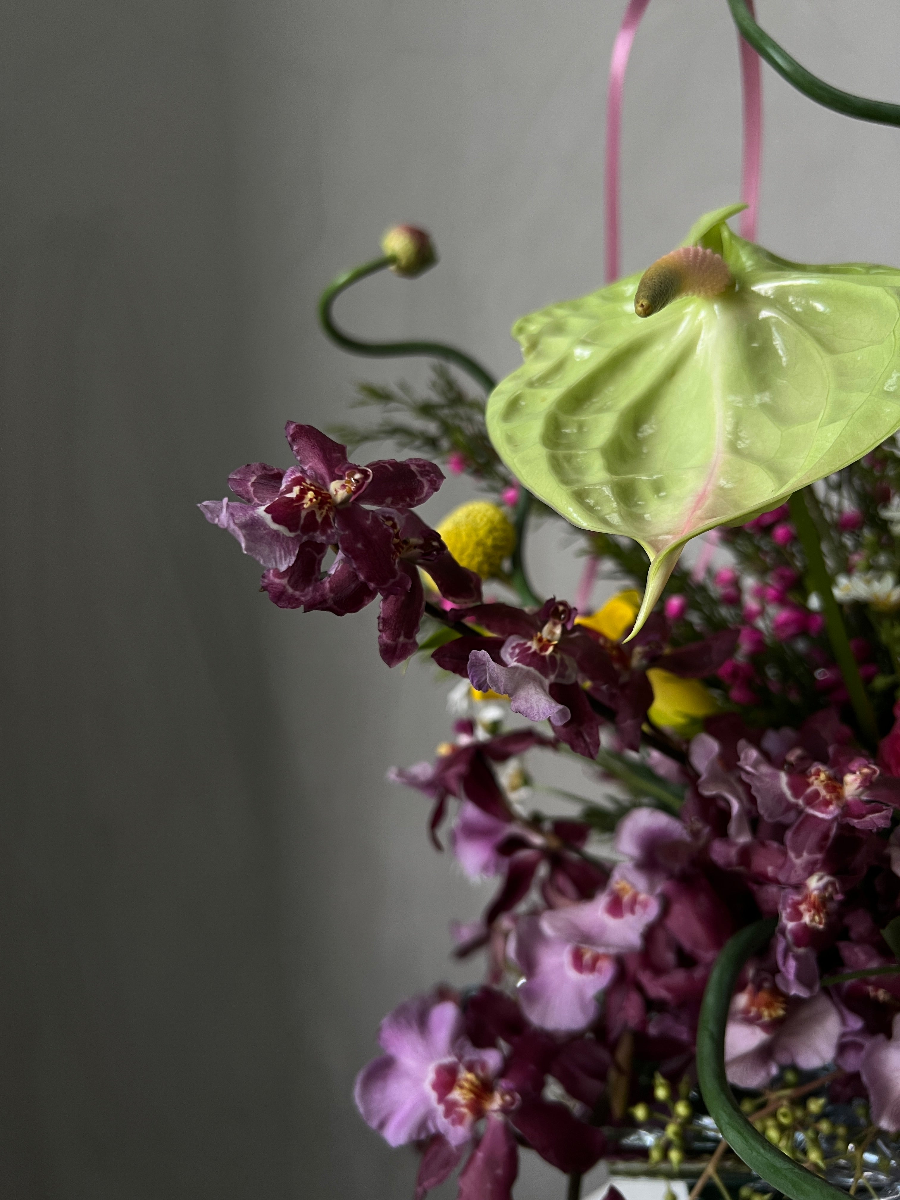 close up green anthurium and purple oncidium orchid flower in an arrangement by amytfleur, florist in singapore providing same day and next day delivery islandwide