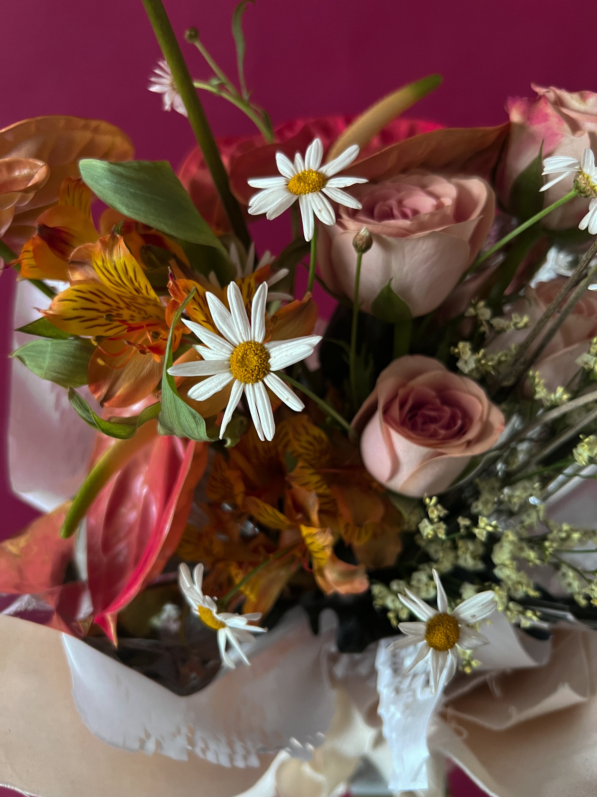 leucathenum coral anthurium cappuccino rose bouquet flower delivery in singapore close up
