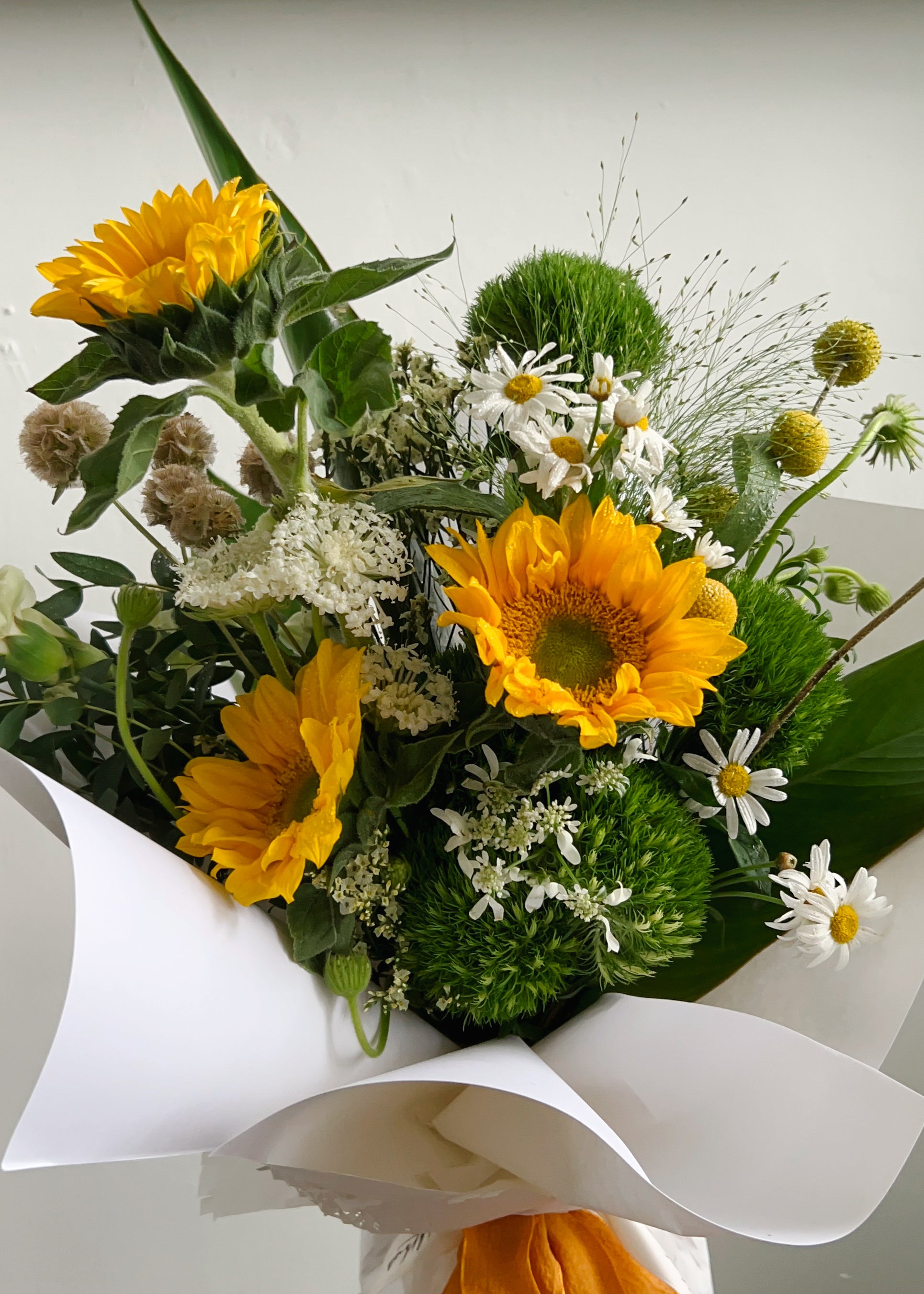 sunflower flower delivery in singapore close up
