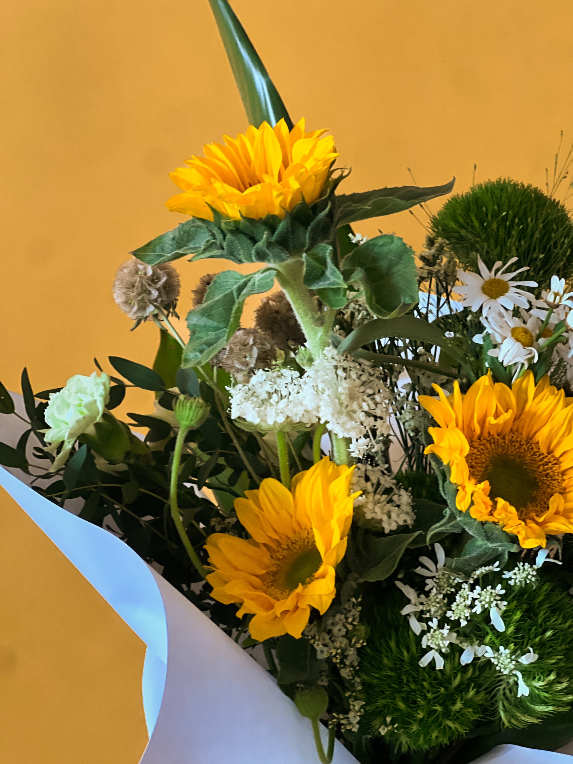 sunflower flower delivery in singapore close up front